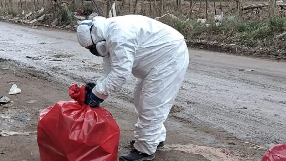 Valentina Sur Rural: retiran más de cien kilos de restos animales abandonados en la vía pública y apuntan a una faena clandestina
