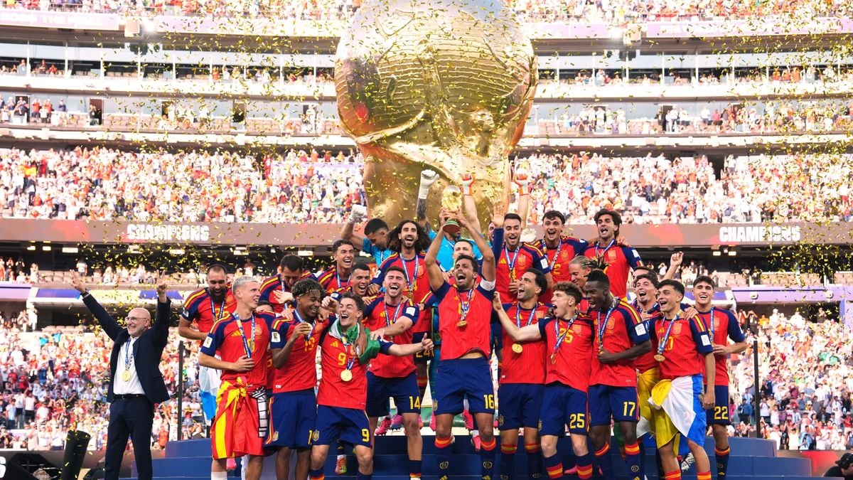 Llorente le dijo basta a la selección: se va con la Copa bajo el brazo y la bronca de no saber qué más dar