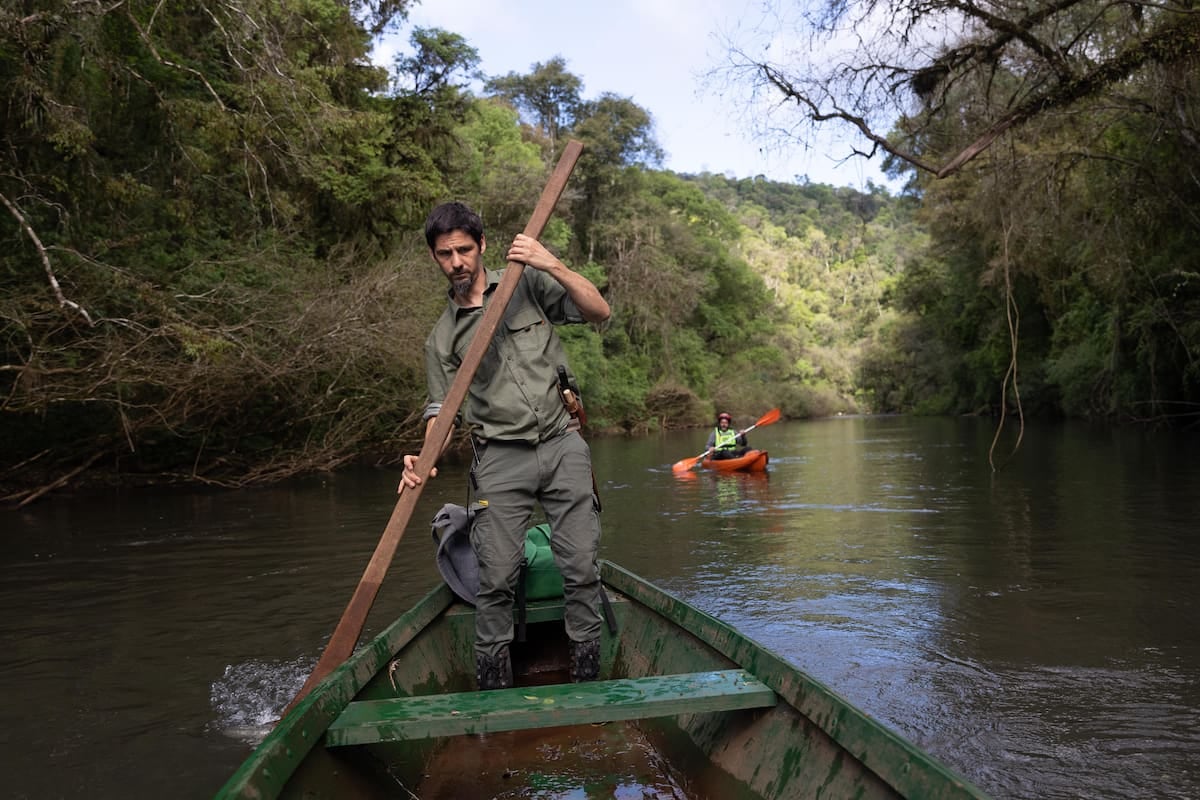 Margay, la reserva donde el arroyo marca el ritmo de la selva