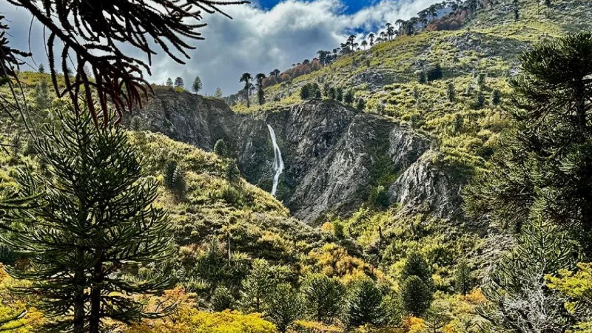 Pulmarí sale a advertir por ventas irregulares de lotes y pide no entregar dinero