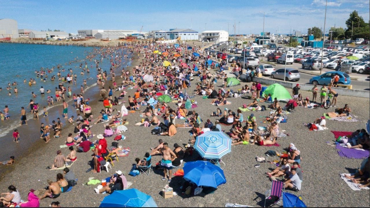 Comodoro Rivadavia se prepara para una temporada histórica: ballenas sei frente a sus costas desde febrero de 2027