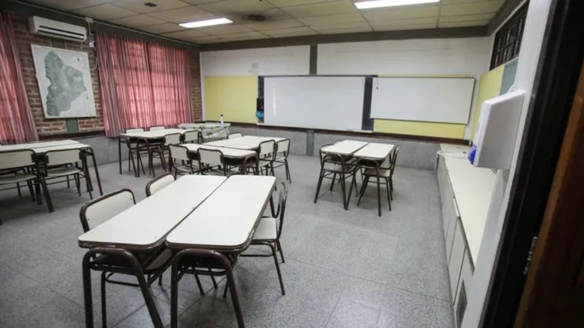 Neuquén suspende las clases en diez localidades por la alerta roja vigente en la región cordillerana