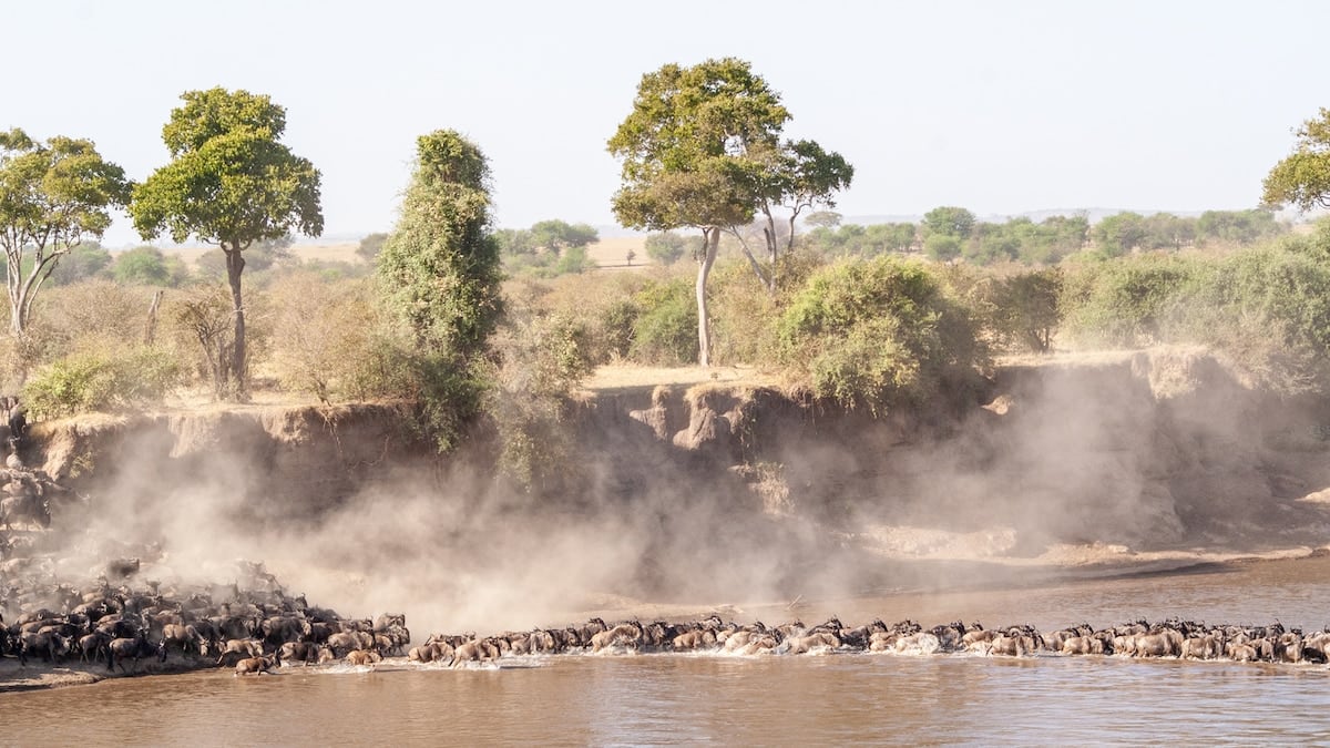 Tres parques, mil historias: cómo recorrer el norte de Tanzania sin perderse nada (ni comerlo todo)