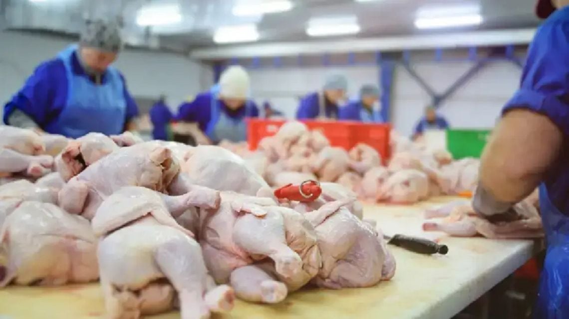 Por primera vez, la carne aviar superó a la vacuna en el plato de los argentinos