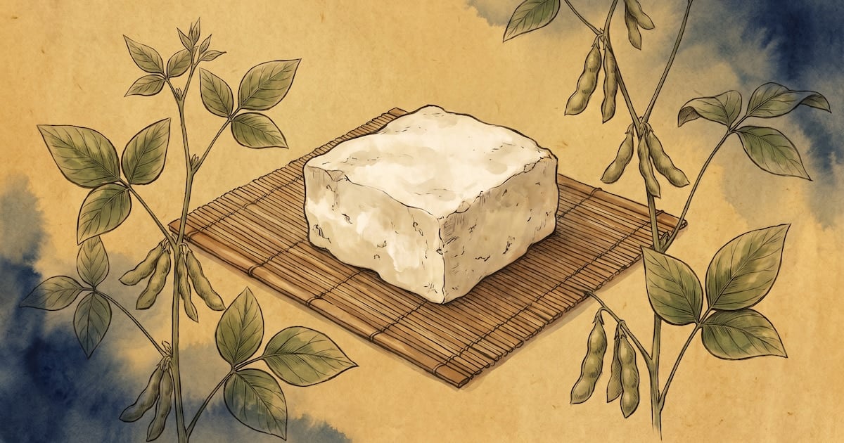 Tofu en la mesa cotidiana: qué dice la evidencia sobre sus aportes y sus límites