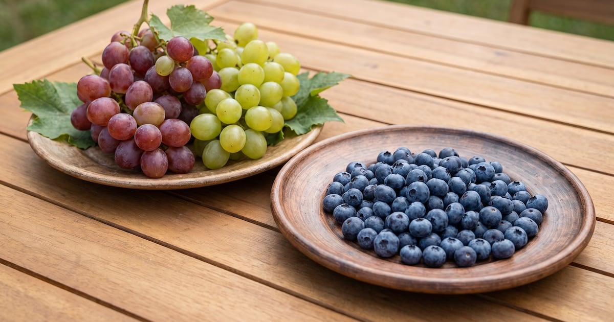 Arándanos versus uvas: el detalle nutricional que inclina la balanza de la glucosa