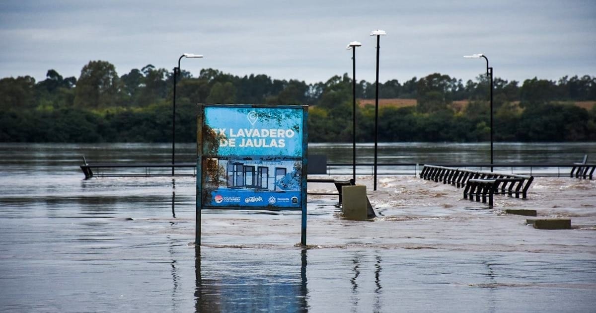 El Niño recalienta la mesa de fin de año: la carne vacuna se encamina a un alza de hasta diez por ciento antes de las Fiestas