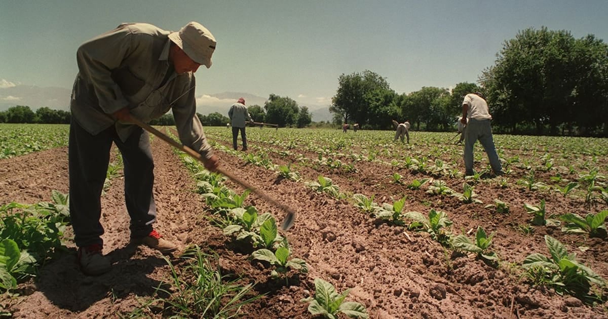 El campo sostiene por un año más el piso de asignaciones para cosecheros y trabajadores de temporada