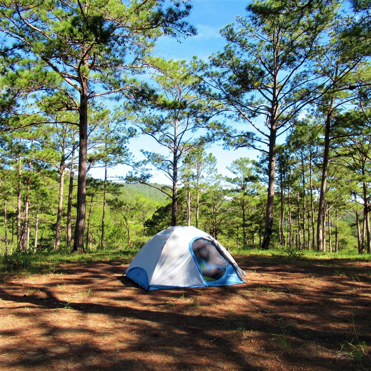 Mar Azul recibe al primer camping Huttopia de Latinoamérica: bosque, mar y noches a 36.000 pesos