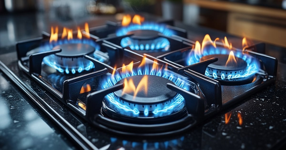 ElIERNA recorta el subsidio al gas y deja afuera a 3,35 millones de hogares
