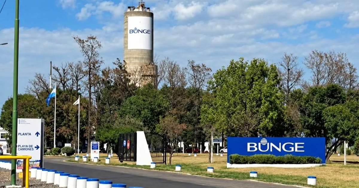 Campana: cesa la producción de insumos para fertilizantes y quedan afectados 110 empleos